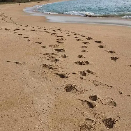 Lägenhet Mar De Queiruga: 01 As Seiras
