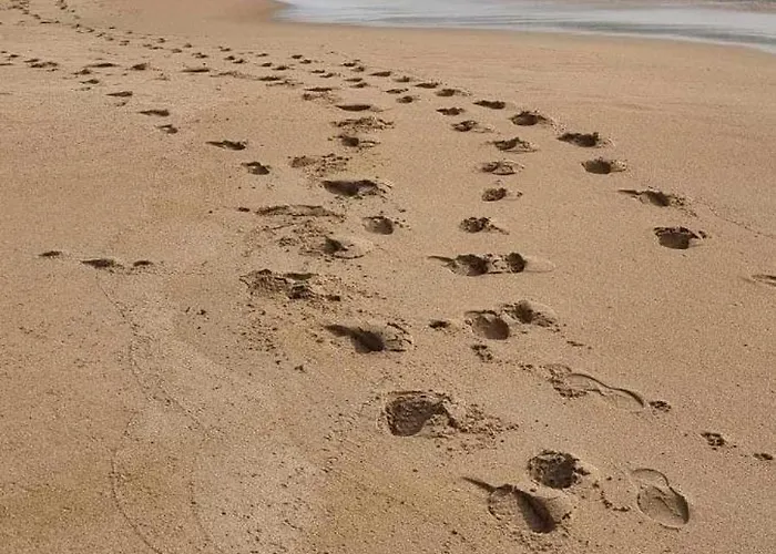 Apartament Mar De Queiruga 01 As Seiras